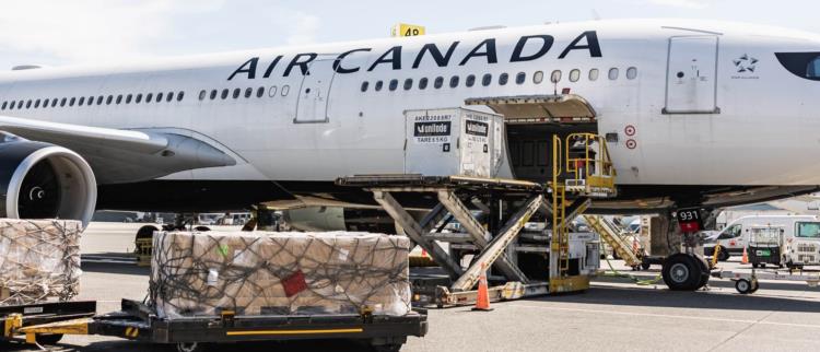 cargo being loaded into airplane