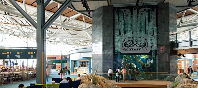 Image of "Orca Chief and the Kelp Forest" at YVR