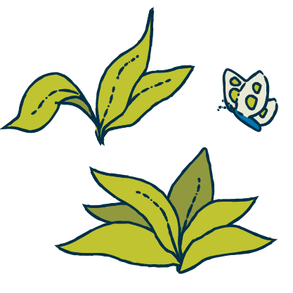 Nature and attractions icon